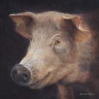 Прикрепленное изображение: 2638626.jpg