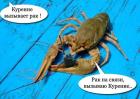 Прикрепленное изображение: 6ZI6EbcN77M.jpg