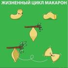 Прикрепленное изображение: Жизненый цикл макарон.jpg