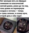 Прикрепленное изображение: входом к потолку.jpg
