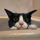 Прикрепленное изображение: -xhnEhuBCmYUCVR0QizBpWFJfO-Ir2DLWAG6e.jpg