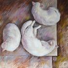 Прикрепленное изображение: n1VrCBS-amBjodYMQsEw5km4Vf8bSr56EA4j.jpg