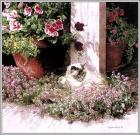 Прикрепленное изображение: 21-x_e071e79c.jpg