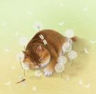 Прикрепленное изображение: qHa9WxLV2egbnt75iqj5BEeU_VUumIOXPqA-IOhiJeRGcgl5k.jpg