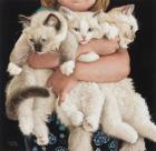 Прикрепленное изображение: 18_7q8d1Kj6sXWYPbR7Fq3UVmrhfMxK6OaC1Vqyies_j2ZJODCkIKeSYm8Q-cDF9lSH4hUznRm.jpg