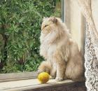 Прикрепленное изображение: 47-ZMfjitule5aUnHjnJyhfUhl5LD6293b9uGc161jLHfcxKzfUjJE8eG6jjYdXxzp-Ctmb6MCxnOxfj.jpg