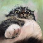 Прикрепленное изображение: WC-qvgaCoMixWz113lWPfesnS_cF2OhElZxUymcT3vFo3xjfaltWg.jpg