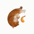 Прикрепленное изображение: C54sR6jA40RuI1SoXQe2MsVxap7wKGMarrlpeW1UoE0is.jpg