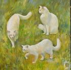 Прикрепленное изображение: FJlfqjCskFn58kYIXFhgO4Sx8xqqSknug.jpg