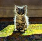 Прикрепленное изображение: 60-Xg3Epxocy6pOqFQ791y4vEpqbT8ci3WURtUkjoYw7cvux2LPEvgjkXblyU4XViw5t8B4cJRxUOAr_.jpg