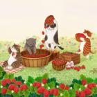 Прикрепленное изображение: LanA5YF5L7uTop29XF2EbUNEZOGkaDNoTwyrrZL.jpg