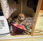 Прикрепленное изображение: Давайте посидим дома.jpg