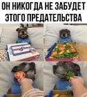Прикрепленное изображение: Пес не забудет предательства.jpg