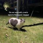 Прикрепленное изображение: Большое сердце.jpg