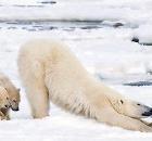 Прикрепленное изображение: _________________________________________________________________________.jpg