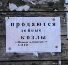 Прикрепленное изображение: _______2.jpg