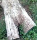 Прикрепленное изображение: x_491e16e4.jpg