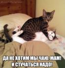 Прикрепленное изображение: Y7_eVTwNvaY.jpg