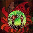 Прикрепленное изображение: image.jpg