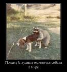 Прикрепленное изображение: 1ипк.jpg