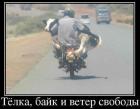 Прикрепленное изображение: image.jpeg
