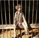 Прикрепленное изображение: image.jpeg