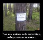 Прикрепленное изображение: image.jpeg