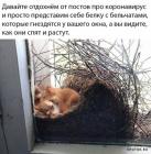 Прикрепленное изображение: 1586245128.jpg