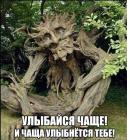Прикрепленное изображение: Чаща улыбнется тебе.jpg
