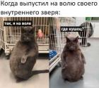 Прикрепленное изображение: Выпуск внутреннего зверя.jpg