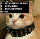 Прикрепленное изображение: photo_2021-04-16_19-23-23.jpg