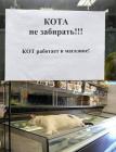 Прикрепленное изображение: Кот работает в магазине.jpg
