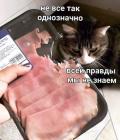 Прикрепленное изображение: 1649254806.jpg