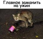 Прикрепленное изображение: 278667329_311376597794630_317861786763863909_n.jpg