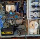 Прикрепленное изображение: 1648744247.jpg