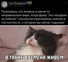 Прикрепленное изображение: 1650302457.jpg