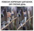 Прикрепленное изображение: Кормушка для белок.jpg