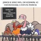 Прикрепленное изображение: Суть тренингов.jpg