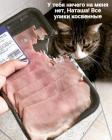 Прикрепленное изображение: Косвенные улики.jpg