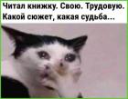 Прикрепленное изображение: 1680777299.jpg