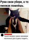 Прикрепленное изображение: 1712748695.jpg