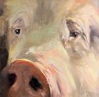 Прикрепленное изображение: 633d00_b904975467a94b9482d39fef797c0745~mv2.jpg