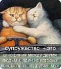 Прикрепленное изображение: Супружество.jpg
