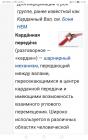 Прикрепленное изображение: Screenshot_20240401_115548_com.android.chrome.jpg