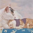 Прикрепленное изображение: CJ9AlABCz7w.jpg