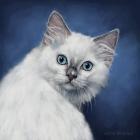 Прикрепленное изображение: PVLSf6v1-GY.jpg