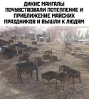 Прикрепленное изображение: 1744351498.jpg