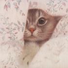 Прикрепленное изображение: jao5vdDkBfs.jpg