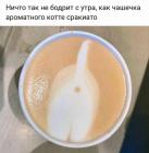 Прикрепленное изображение: Коттэ сракиато.jpg