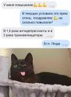 Прикрепленное изображение: Повышение.jpg